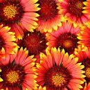 헬씨라이프 이미지