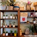 행정서로1길 | 향남 꽃집 피너그플라워 S사이즈 꽃다발 재방문 후기