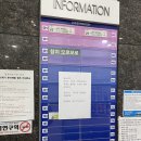 참치모로모로