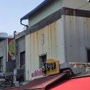 넝쿨식당 | 남대문시장 갈치골목 '넝쿨식당' 후기 🐟 웨이팅해도 만족한 갈치조림 맛집