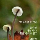 부경 이미지