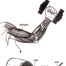 나무트레이닝 이미지