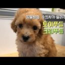 하안동물병원 이미지