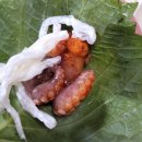 나정순할매쭈꾸미 이미지