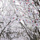 용산-106 이미지