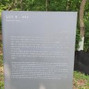 심상우 묘 이미지