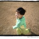 4242민박 이미지