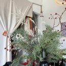 소보시장 이미지