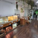 사슴출강농장 | 화성 정남면]&#39;센트럴곤충생태농장&#39; 다양한 동물을 재미있게 체험할 수 있는 화성동물체험