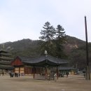 속리산 법주사 이미지