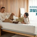 코알라홈 이미지