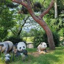 엘림농장 이미지