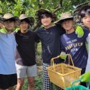 군외중학교 이미지