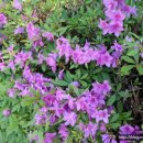 청명카센타 이미지