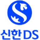 디에스솔루션