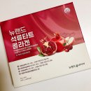 뉴랜드제주