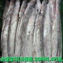 임여사수산