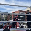 오동동175 이미지