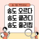 에이스단과학원 | 송도 오르다국어, 송도 클라디수학, 송도 줄리킴영어 정보 엿보기