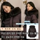 케이투호텔 | 케이투 수지 패딩 골든 베이글 폭스 다운 왜 그렇게 예뻐 보이는지 알겠다…최고급 솜털 95% 구스...