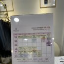 썸 | 성인 취미 발레 합정발레 발레썸 비기닝반 후기