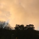 시냇물과 눈꽃세상 | [제주도 여행] 눈꽃 보러 다녀온 겨울 한라산 영실코스 등반 후기