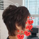 준헤어랭귀지 네이버블로그