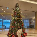 우제봉전망대 | 겨울 거제도 여행 - 소노캄, 신선대, 구조라 해수욕장, 바람의 언덕, 식도락 여행