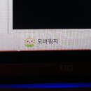 김포꽃소사육농장 | 다음 블로그가 궁금하다면 냐냐냥!!을 입력하세요