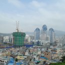 황령산 편백단지 Daum카페