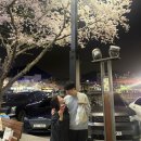 중원 | [내돈내산] 진해 군항제 먹거리 총정리 중원로터리 야시장 후기 (야끼소바 1위 )