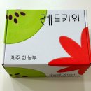 제주특별자치도청 | 명절선물 제격 제주 레드키위 말랑달콤해지는 후숙방법과 효능 맛후기