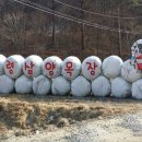 춘기목장 이미지