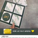 이브스 테라피 | [궁금한 화장품 이야기]이브스볼륨 집에서 쓰는 화장품만으로 인생피부 만난다?!!