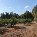 서귀포시 노인복지회관 이미지