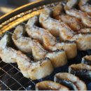 황금장어 이미지