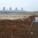 세종보 입구 이미지