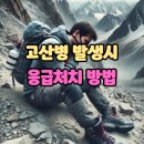 고산병 예방과 처치 티스토리