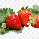 통통한과일 - 부산진구 새싹로 209 | 통통한과일