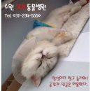 선동물병원 이미지