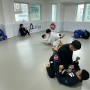 아트 주짓수 레슬링 이미지