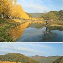 가을 단풍이 아름다운 문광저수지 (충북괴산군문광면양곡리) 이미지