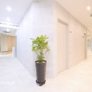 과천 플러스 약국 이미지