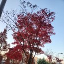 참(charm)행정사 사무소 이미지