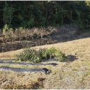 개천안주말농장펜션 이미지