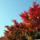 덕산지물