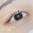 시니크뷰티