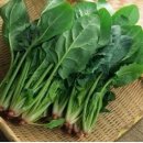 강남연세신통의원 이미지