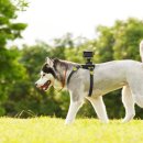 쌀과 소년 이미지