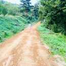 (주)해피로드 이미지